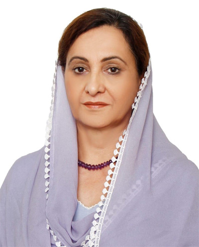 Punjab's right on Punjab's water, an issue of Punjab's future: Amanjot Kaur Ramoowalia.